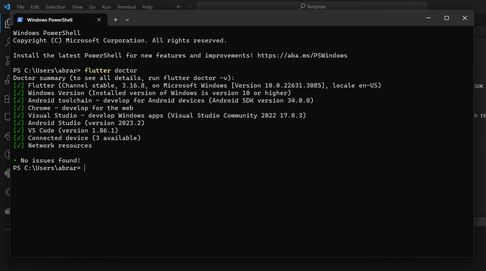 install Flutter